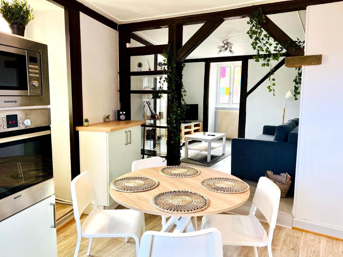 Seppala Charmant Appartement كولمار المظهر الخارجي الصورة