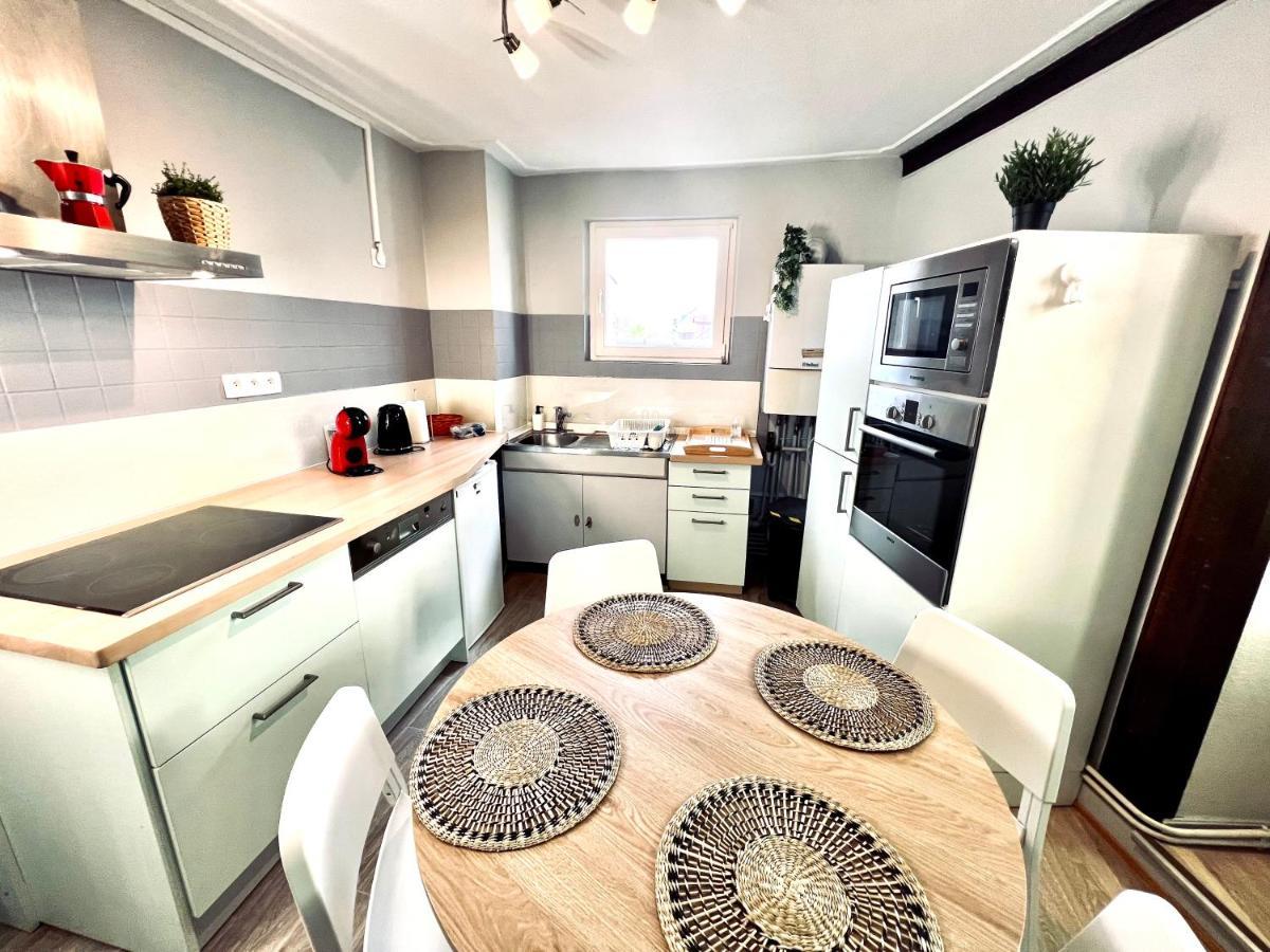 Seppala Charmant Appartement كولمار المظهر الخارجي الصورة