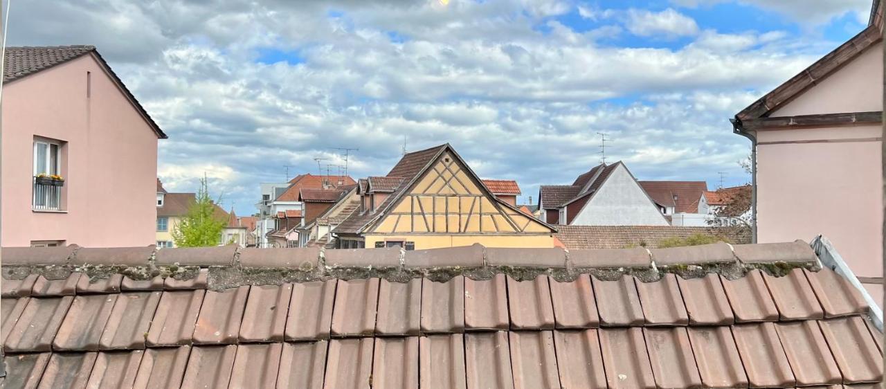 Seppala Charmant Appartement كولمار المظهر الخارجي الصورة