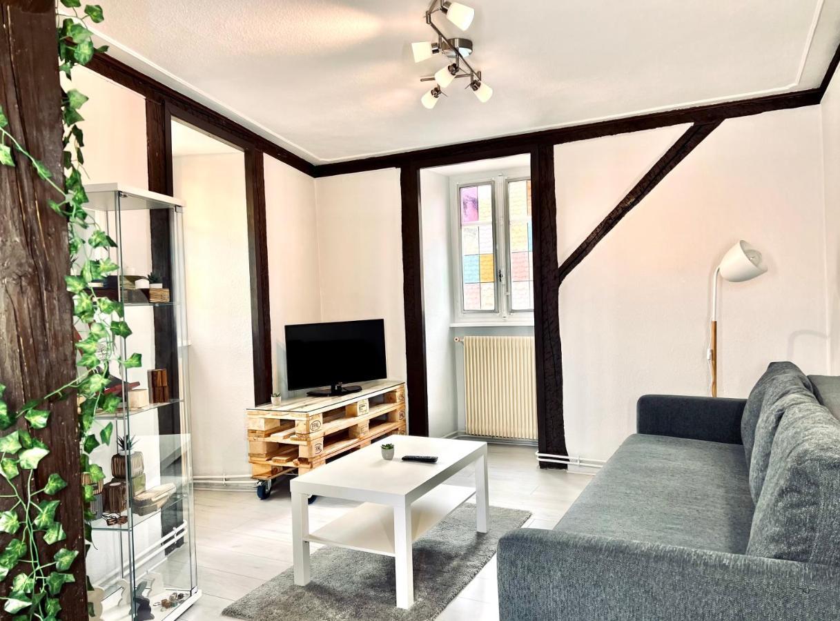 Seppala Charmant Appartement كولمار المظهر الخارجي الصورة