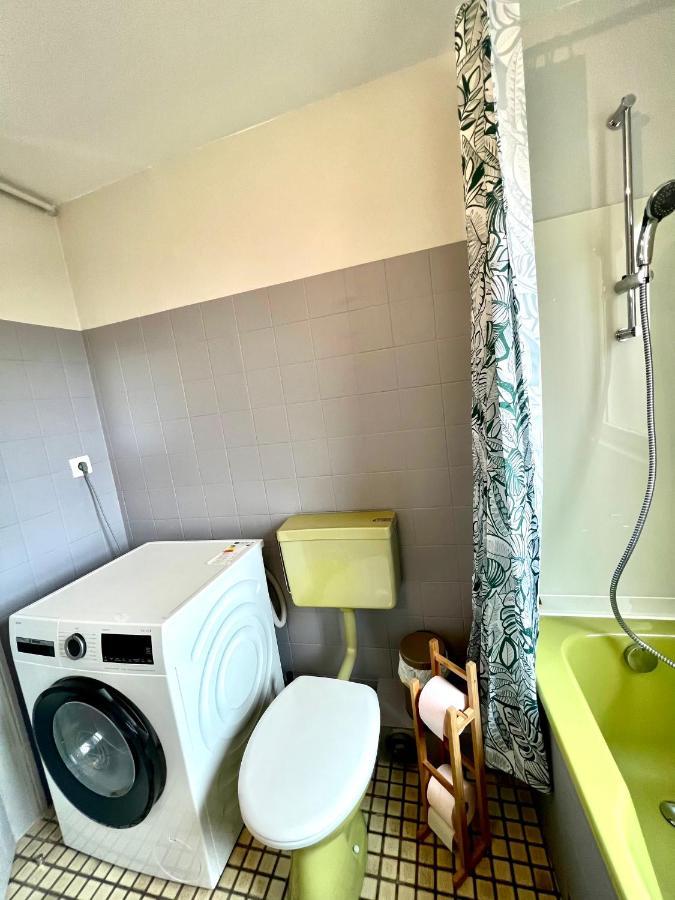 Seppala Charmant Appartement كولمار المظهر الخارجي الصورة
