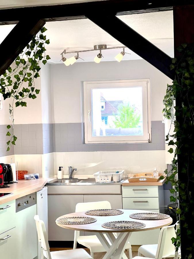 Seppala Charmant Appartement كولمار المظهر الخارجي الصورة