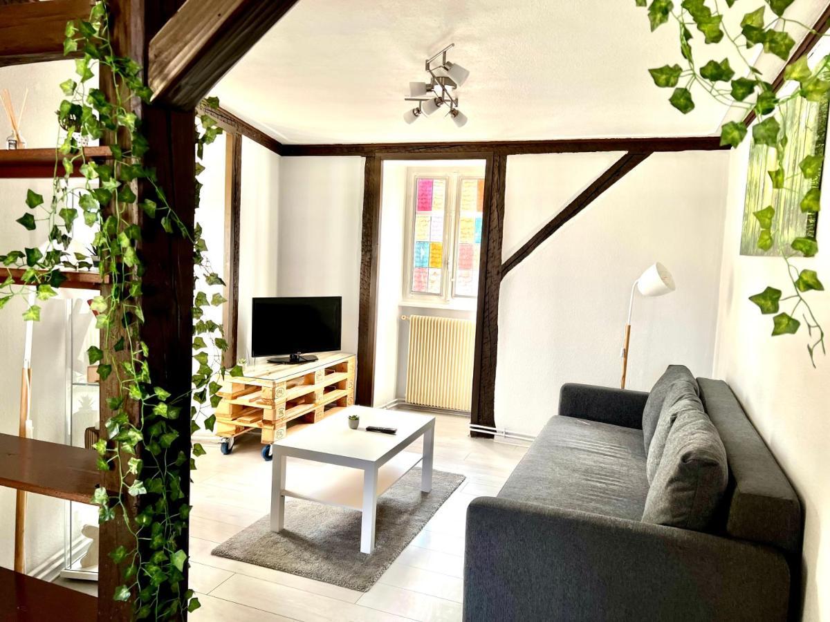 Seppala Charmant Appartement كولمار المظهر الخارجي الصورة